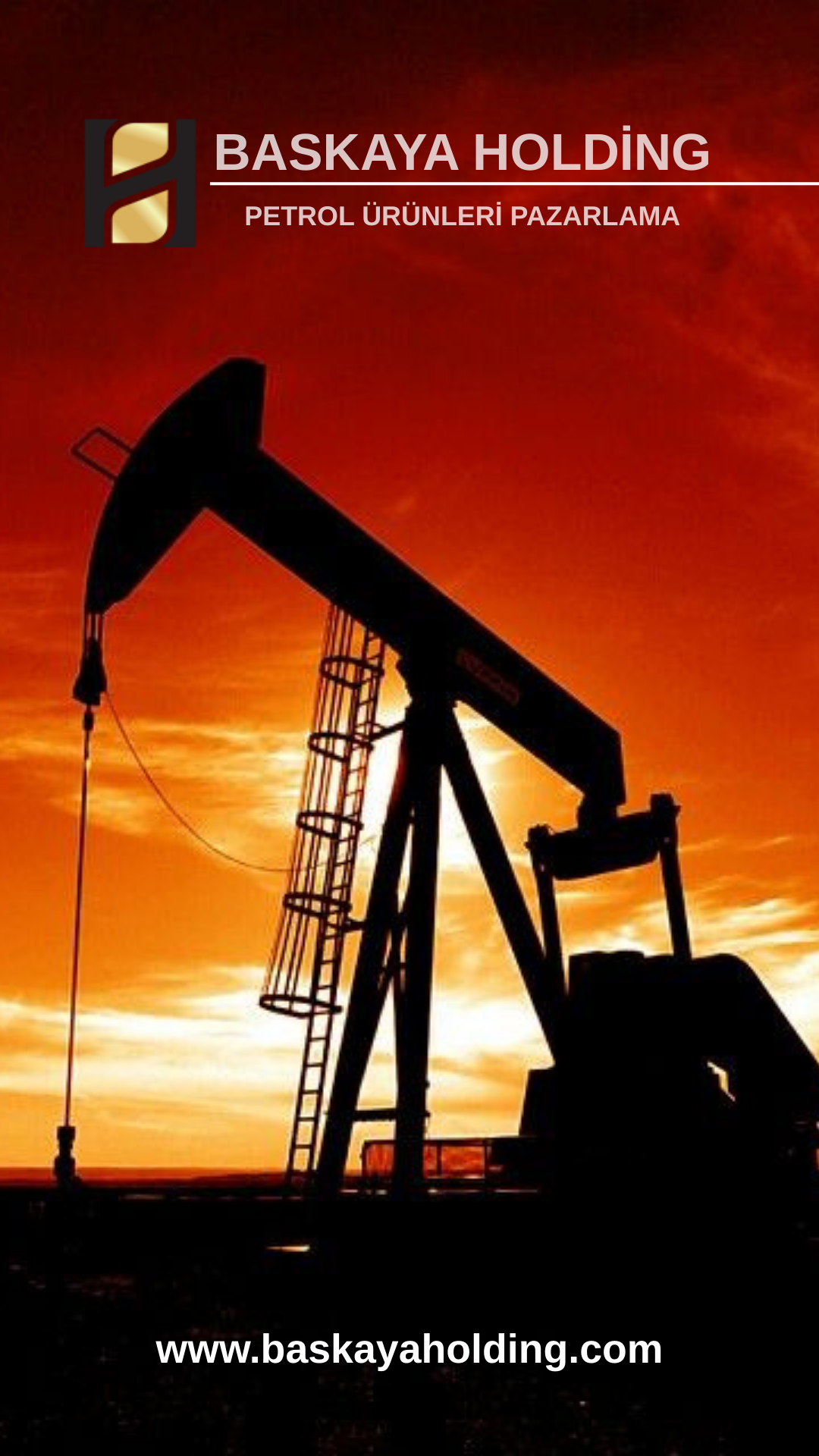 Petrol Ürünleri Pazarlama